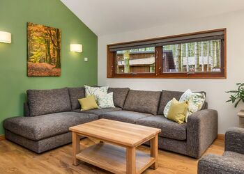 Golden Oak 2 Meadow Cabin - Forest of Dean Lodges, Coleford