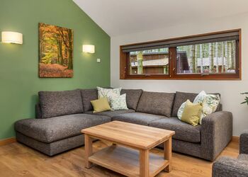 Golden Oak 3 Meadow Cabin - Forest of Dean Lodges, Coleford