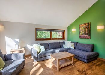 Golden Oak 4 Meadow Cabin - Forest of Dean Lodges, Coleford