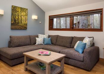 Silver Birch 2 Meadow Cabin - Forest of Dean Lodges, Coleford