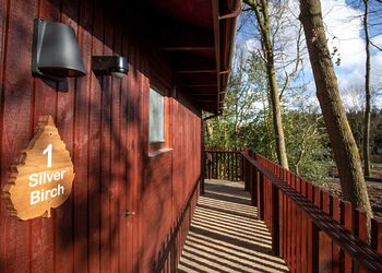 Silver Birch 2 WF (Pet) - Forest of Dean Lodges, Coleford