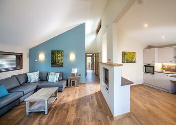 Silver Birch 2 WF (Pet) - Forest of Dean Lodges, Coleford