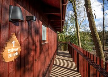 Silver Birch 3 WF Meadow Cabin (Pet) - Forest of Dean Lodges, Coleford