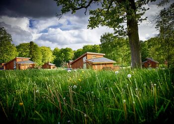 Silver Birch 3 WF Meadow Cabin (Pet) - Forest of Dean Lodges, Coleford