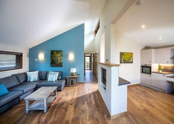 Silver Birch 3 WF Meadow Cabin (Pet) - Forest of Dean Lodges, Coleford