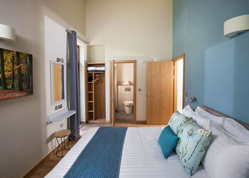 Silver Birch 3 WF Meadow Cabin (Pet) - Forest of Dean Lodges, Coleford