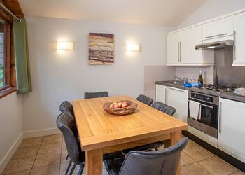 Silver Birch 2 (Pet) - Forest of Dean Lodges, Coleford