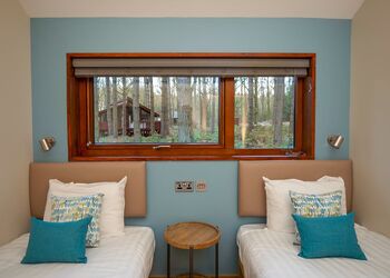 Silver Birch 2 (Pet) - Forest of Dean Lodges, Coleford