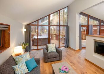 Silver Birch 3 (Pet) - Forest of Dean Lodges, Coleford