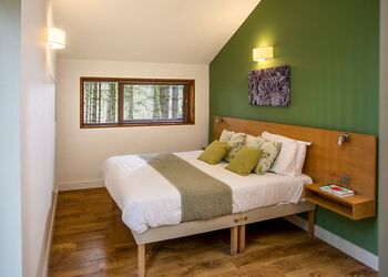 Golden Oak 3 (Pet) - Forest of Dean Lodges, Coleford