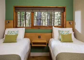 Golden Oak 3 (Pet) - Forest of Dean Lodges, Coleford