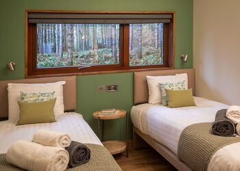 Golden Oak 4 (Pet) - Forest of Dean Lodges, Coleford