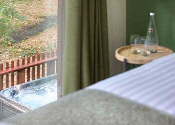 Golden Oak 4 (Pet) - Forest of Dean Lodges, Coleford