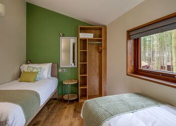 Golden Oak 4 (Pet) - Forest of Dean Lodges, Coleford
