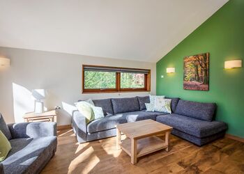 Golden Oak Treehouse (Pet) - Forest of Dean Lodges, Coleford