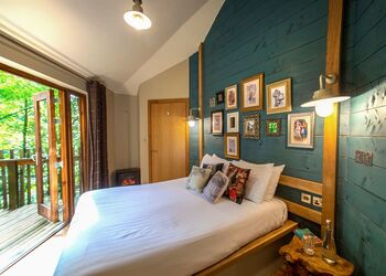 Golden Oak Treehouse (Pet) - Forest of Dean Lodges, Coleford