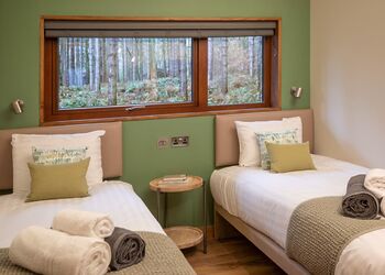 Golden Oak Treehouse (Pet) - Forest of Dean Lodges, Coleford