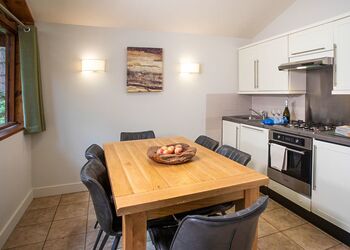 Golden Oak 1 (Pet) - Forest of Dean Lodges, Coleford