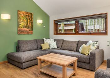 Golden Oak 2 Meadow Cabin (Pet) - Forest of Dean Lodges, Coleford