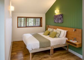 Golden Oak 2 Meadow Cabin (Pet) - Forest of Dean Lodges, Coleford