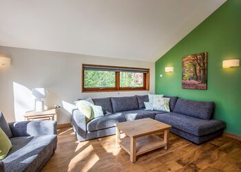 Golden Oak 4 Meadow Cabin (Pet) - Forest of Dean Lodges, Coleford