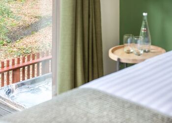 Golden Oak 4 Meadow Cabin (Pet) - Forest of Dean Lodges, Coleford