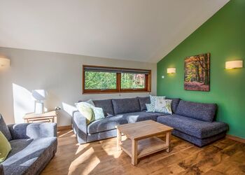 Forest of Dean Golden Oak Treehouse Meadow (Pet) - Forest of Dean Lodges, Coleford