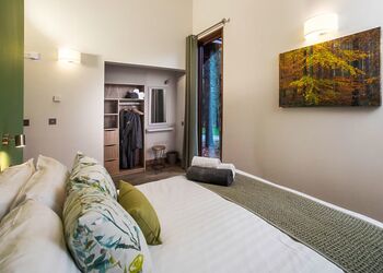 Forest of Dean Golden Oak Treehouse Meadow (Pet) - Forest of Dean Lodges, Coleford