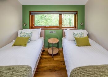 Forest of Dean Golden Oak Treehouse Meadow (Pet) - Forest of Dean Lodges, Coleford