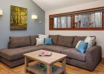 Silver Birch 2 Meadow Cabin (Pet) - Forest of Dean Lodges, Coleford