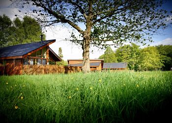 Silver Birch 2 Meadow Cabin (Pet) - Forest of Dean Lodges, Coleford