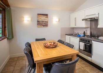 Silver Birch 2 Meadow Cabin (Pet) - Forest of Dean Lodges, Coleford