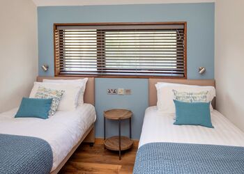 Silver Birch 2 Meadow Cabin (Pet) - Forest of Dean Lodges, Coleford