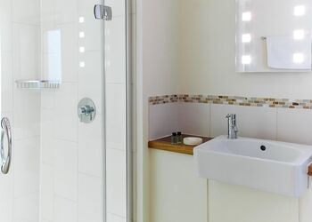 Silver Birch 2 Meadow Cabin (Pet) - Forest of Dean Lodges, Coleford