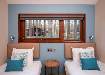 Silver Birch 3 - Forest of Dean Lodges, Coleford