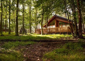 Golden Oak 3 - Forest of Dean Lodges, Coleford