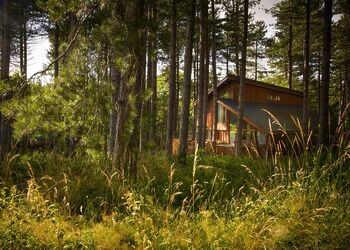 Golden Oak 4 - Forest of Dean Lodges, Coleford