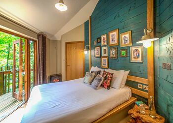 Golden Oak Treehouse - Forest of Dean Lodges, Coleford