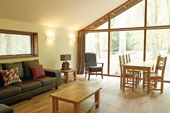 Typical Copper Beech 3 Meadow Cabin WF 