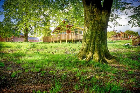 Forest of Dean Lodges