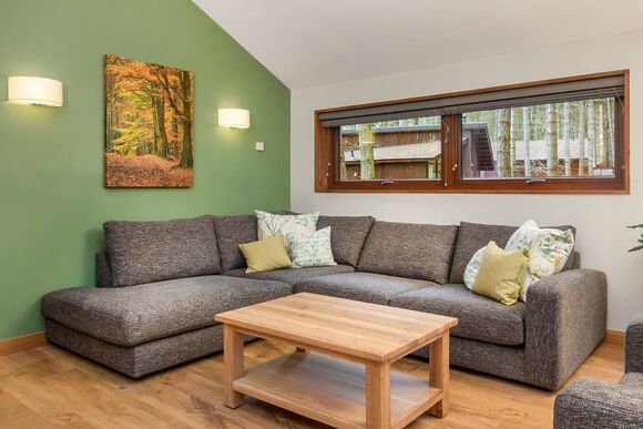 Golden Oak 1 Meadow Cabin (Pet) - Forest of Dean Lodges, Coleford