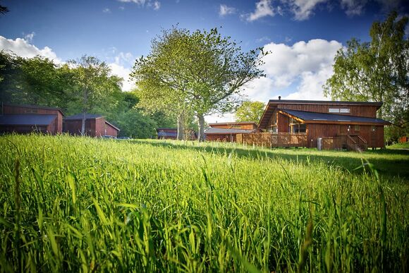 Golden Oak 4 Meadow Cabin - Forest of Dean Lodges, Coleford