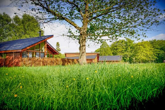 Silver Birch 2 Meadow Cabin - Forest of Dean Lodges, Coleford