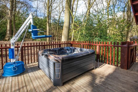 Silver Birch 2 WF (Pet) - Forest of Dean Lodges, Coleford