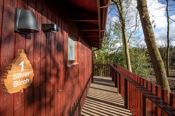 Silver Birch 3 WF Meadow Cabin (Pet) - Forest of Dean Lodges, Coleford