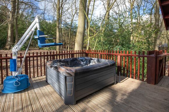 Silver Birch 3 WF Meadow Cabin (Pet) - Forest of Dean Lodges, Coleford