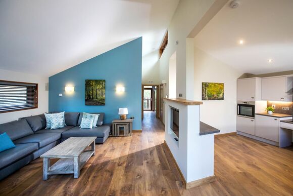 Silver Birch 3 WF Meadow Cabin (Pet) - Forest of Dean Lodges, Coleford