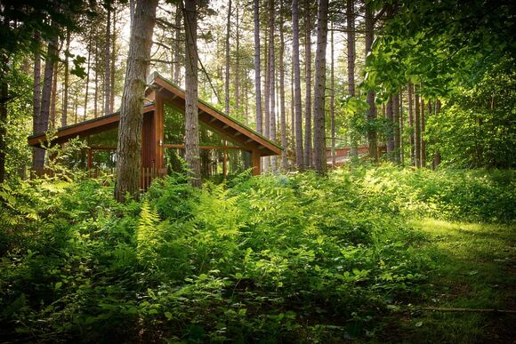 Silver Birch 2 (Pet) - Forest of Dean Lodges, Coleford