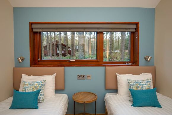 Silver Birch 3 (Pet) - Forest of Dean Lodges, Coleford