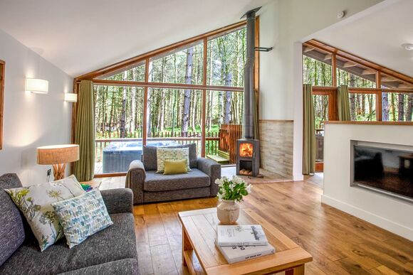 Golden Oak 3 (Pet) - Forest of Dean Lodges, Coleford